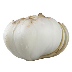 兰州鲜百合甘肃特产500g生甜百合新鲜食用产地直发货百合无硫包邮