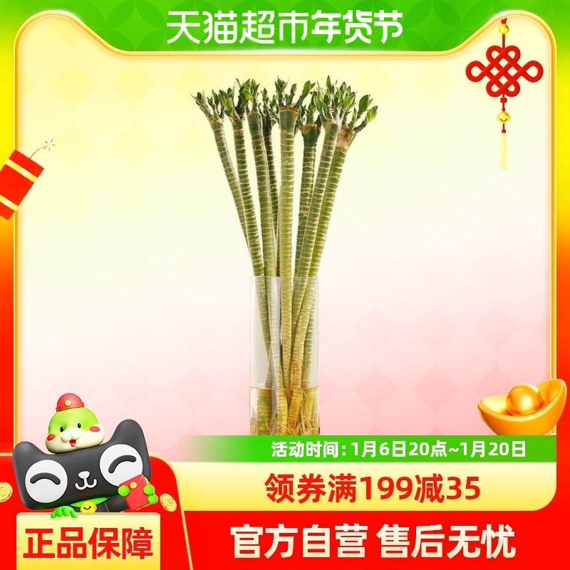 йˮֲˮֲת495.92Ԫ4(123.98Ԫ/88VIP 95)