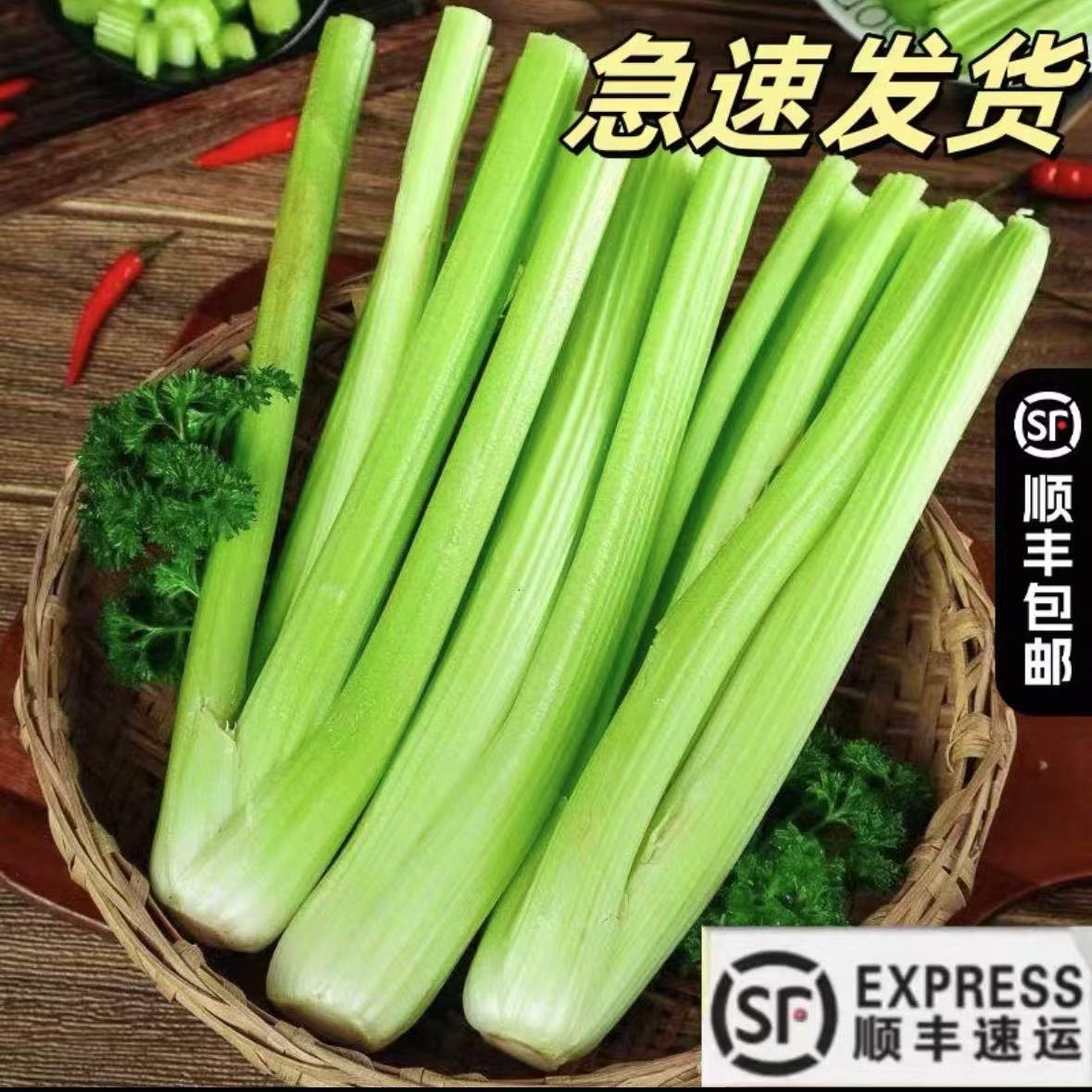顺丰包邮新鲜大颗西芹农家种植新鲜榨汁西芹时令蔬菜脆嫩现摘