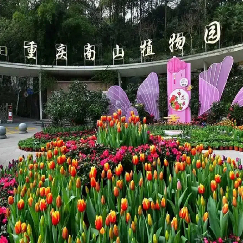 [南山植物园-大门票]出票成功30分钟后方可使用