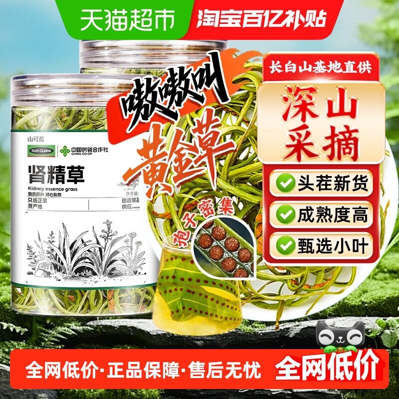 肾精草长白山化石肾精茶黄金草嗷嗷叫孢子超多小叶男士泡水泡茶喝,传统滋补营养品,其他药食同源食品,淘宝优惠券,粉丝福利购,淘宝优惠卷