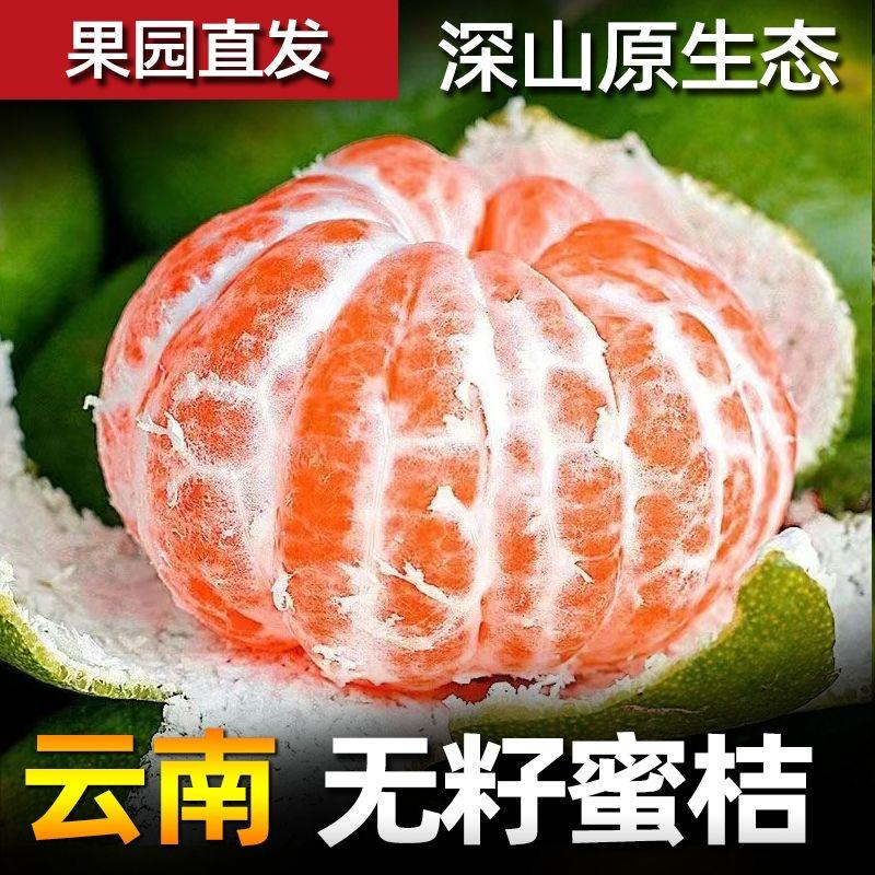 【3斤】正宗云南高山蜜桔超甜橘子