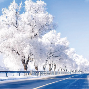 吉林雾凇岛3日私家团