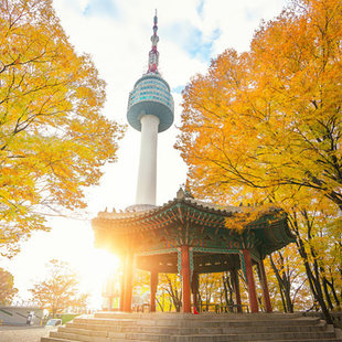 韩国首尔机票尾单石家庄/扬州直飞首尔4-5天自由行往返机票飞猪