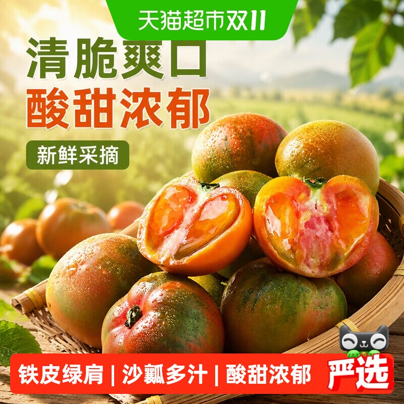 正宗丹东铁皮西红柿东北新鲜绿腚水果番茄碱地草莓柿子