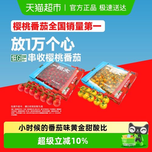 一颗大新鲜采摘串收樱桃番茄