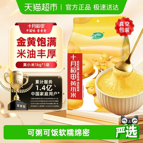 十月稻田黄小米五谷杂粮