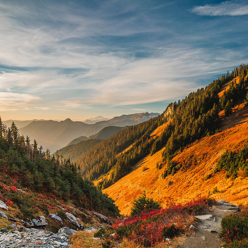 4人起私家团-15天14晚美国旅游自由女神像林肯纪念堂尼亚加拉瀑