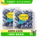 秘鲁Driscoll 酸甜口 怡颗莓蓝莓鲜果新鲜水果大果 新产季