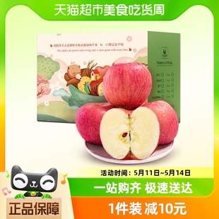脆甜多汁 正宗甘肃庆阳新鲜水果红富士苹果单果70mm