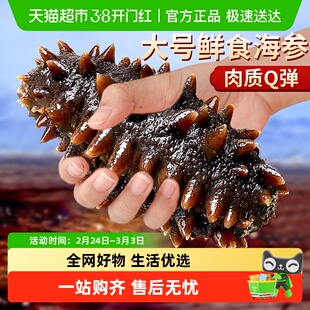 云储大连海参鲜活辽参即食刺身鲜食海参开袋即食新鲜干货礼盒