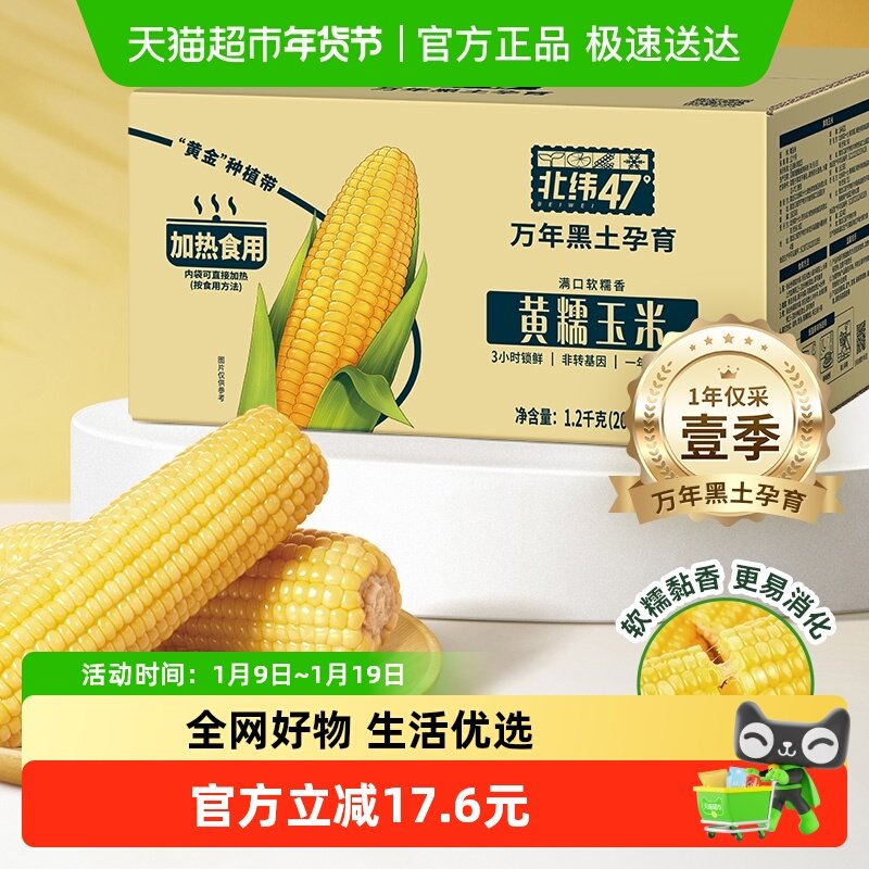 北纬47度黄糯鲜食玉米东北黑龙江玉米真空包装苞米棒杂粮