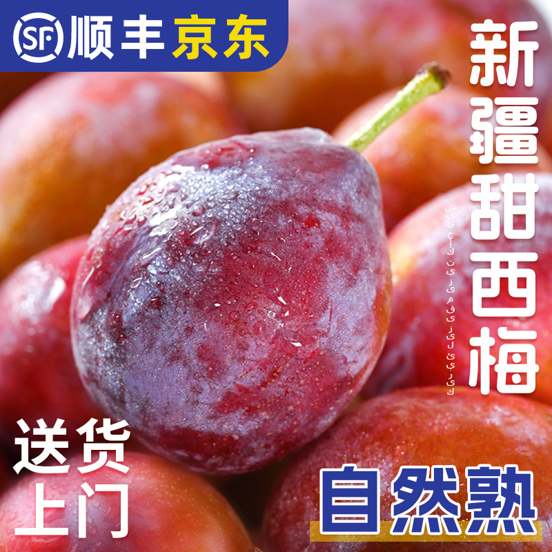 正宗新疆喀什法兰西西梅新鲜水果当季整箱顺丰特大果鲜果礼盒