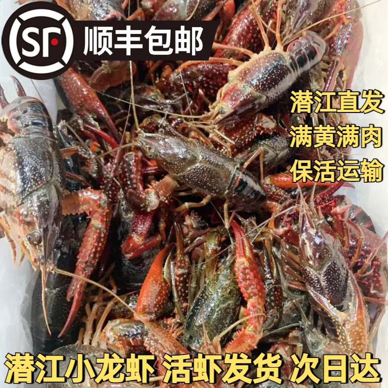 к 456Ǯ 3 ǱʻСϺˮϺǻϺɾˢϴ˳99Ԫ