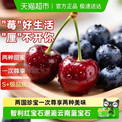 智利车厘子云南蓝莓尊享两种美味