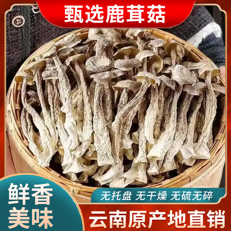 鹿茸菇干货鹿茸菌云南特产级云南菌子香菇干脆脆菇500g厂家批发