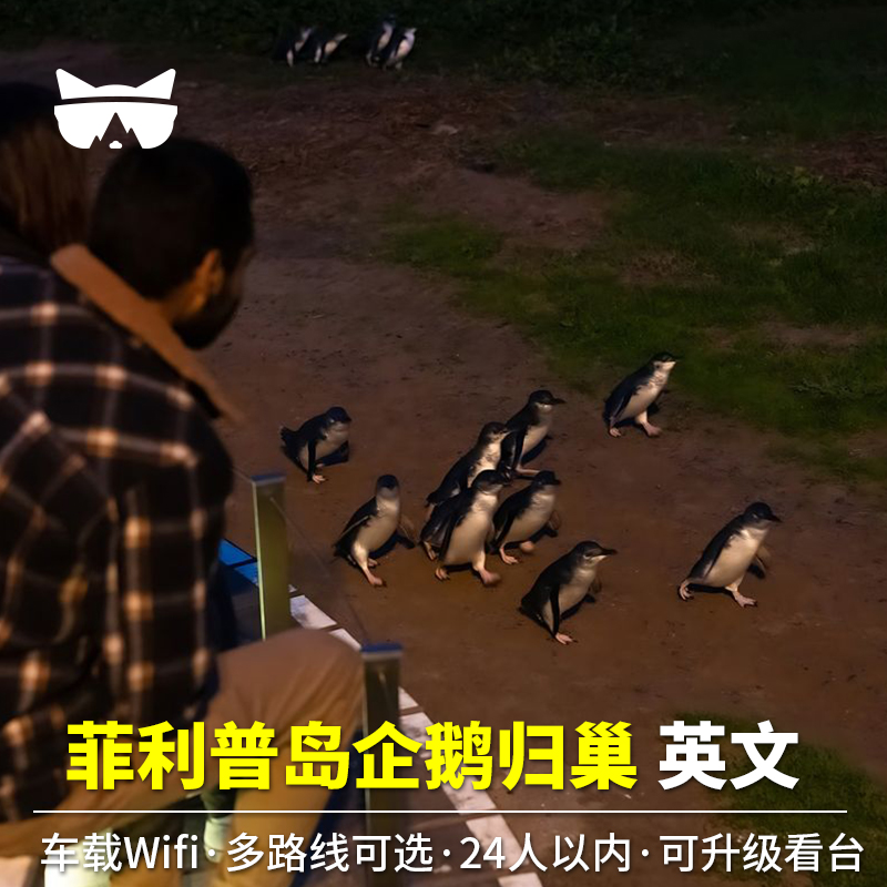 菲利普岛企鹅归巢一日游