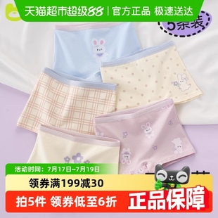 女孩棉四角褲 棉奇熊女童內(nèi)褲 兒童a類短褲 2024新款 中童 寶寶平角褲