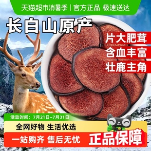 鹿茸片正品 鹿茸鹿角非野生梅花鹿整根片干血蜡中草药材泡酒克啦啦