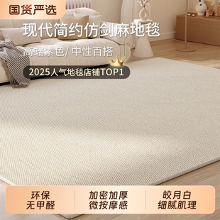 仿剑麻地毯防猫抓客厅免洗可擦轻奢2025新款 日式 沙发茶几榻榻米垫