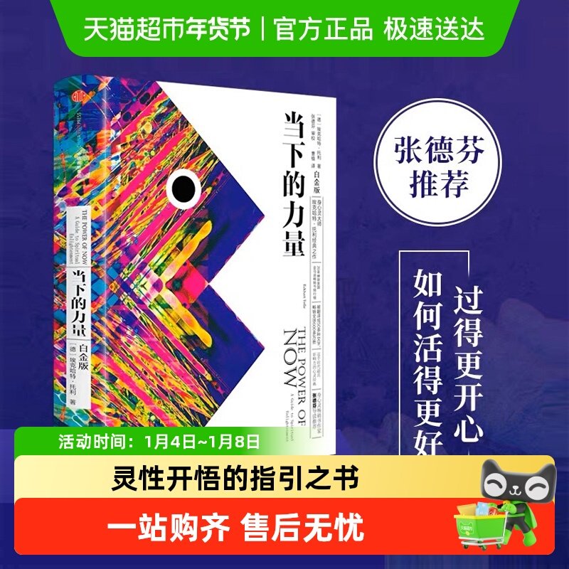 正版包邮 当下的力量 全新白金版自我励志心灵大师之作新华书店