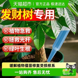 发财树植物再生剂浓缩营养液肥料专用肥盆栽复活液防黄叶枯叶烂根