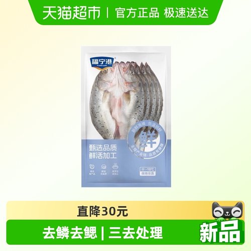 福宁港三去海鲈鱼