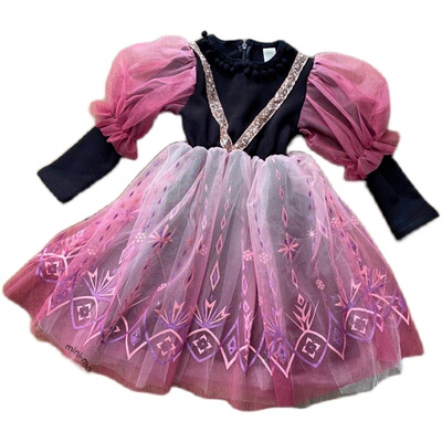 韩国进口秋冬女童加绒加厚公主裙