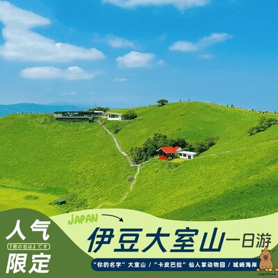 【9人团】日本东京伊豆一日游大室山城崎海岸中文拼团包车一日游