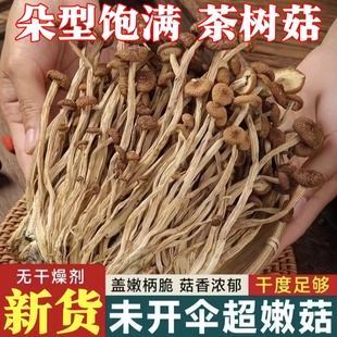 茶树菇干货不开伞农家特产干新货批发香菌菇炒菜炖汤食材煲汤营养