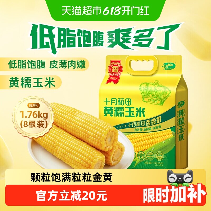 十月稻田黄糯玉米棒低脂