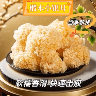 古田椴木小银耳特级干货软糯莲子羹煲汤佳品无熏硫