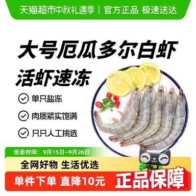 厄瓜多尔速冻大白虾