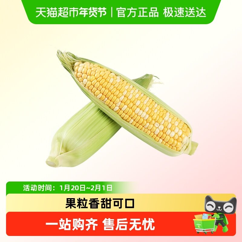 新鲜玉米云南金银水果玉米甜玉米棒子包谷新鲜蔬菜,水产肉类/新鲜蔬果/熟食,新鲜玉米,淘宝优惠券,粉丝福利购,淘宝优惠卷