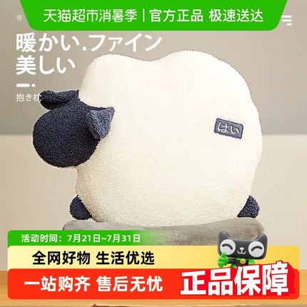 抱枕被子两用办公室午睡枕头车载毯子二合一汽车靠枕女生睡觉车用