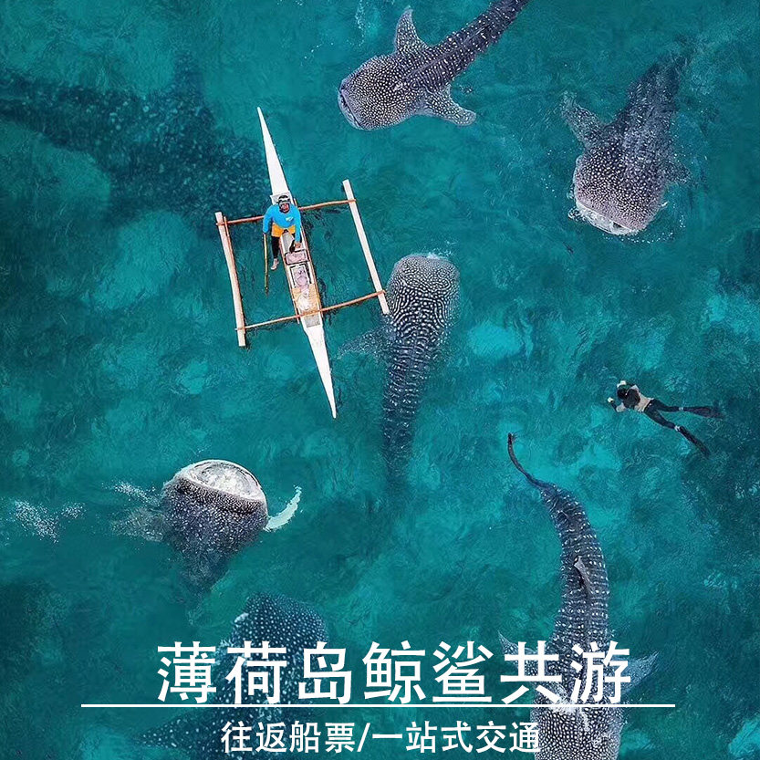 菲律宾薄荷岛出发奥斯洛博OSLOB 鲸鲨浮潜 门票 全程联票