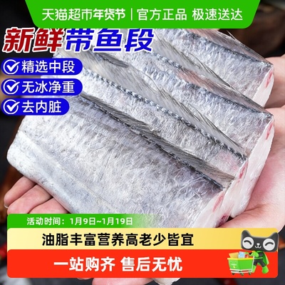 海仙部落带鱼新鲜冷冻中段特级