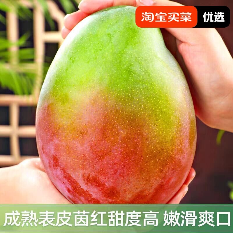 攀枝花特甜芒果无酸无丝现摘应季水果整箱凯特发货皮薄肉厚