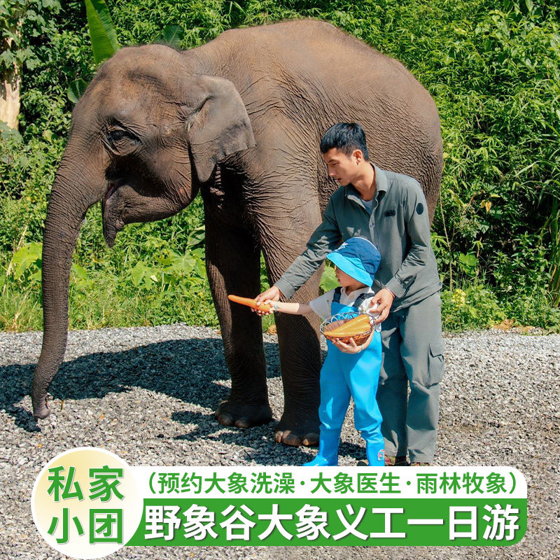 西双版纳一日游