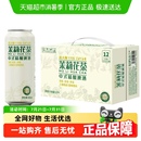 精酿啤酒500ml 燕大师茉莉花茶中式 12罐原浆茶啤酒醇厚整箱聚会