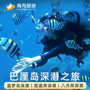 海鸟旅游 巴厘岛图兰奔深潜一日游蓝梦岛佩妮达岛深潜八丹拜潜水