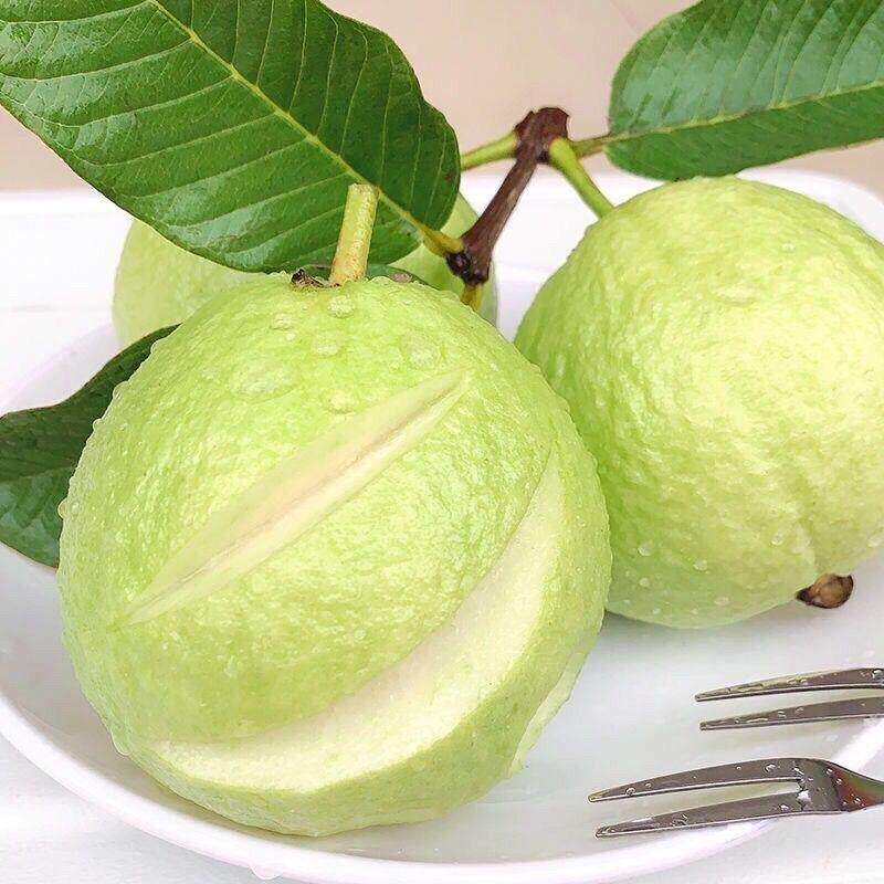 广东芭乐白心番石榴新鲜现摘应季低糖孕妇水果新鲜甜脆热带水果