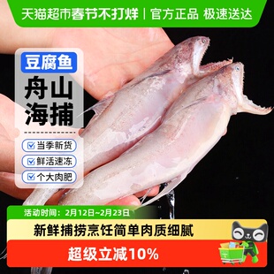 赫敏舟山东海海捕新鲜龙头鱼豆腐鱼九肚鱼水潺冷冻海鲜龙头鱼