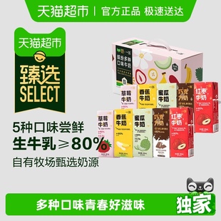 一鸣草莓红枣香蕉巧克力蜜瓜五口味学生儿童营养早餐牛奶 臻选