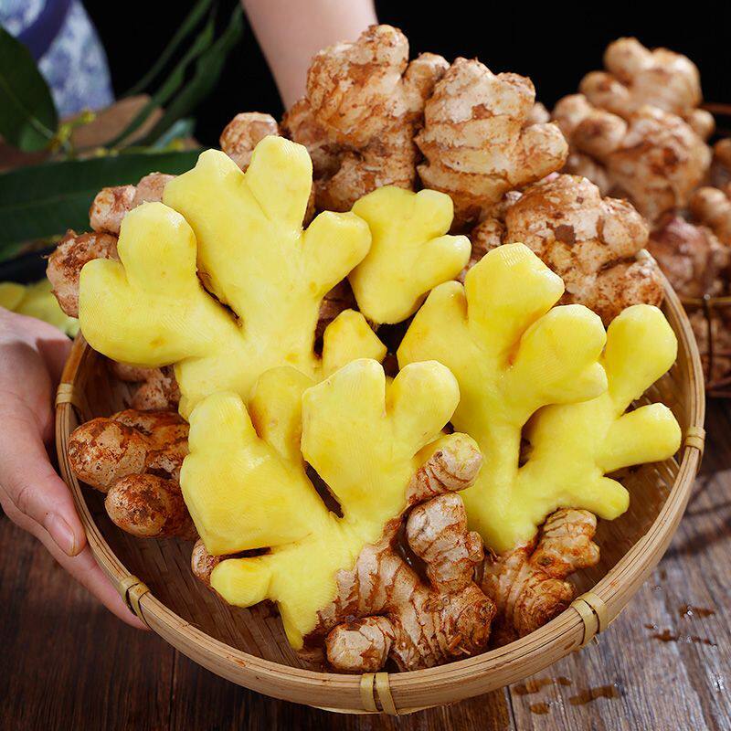 正宗云南黄小黄姜生姜新鲜现挖自种农家老姜辛辣整箱蔬菜