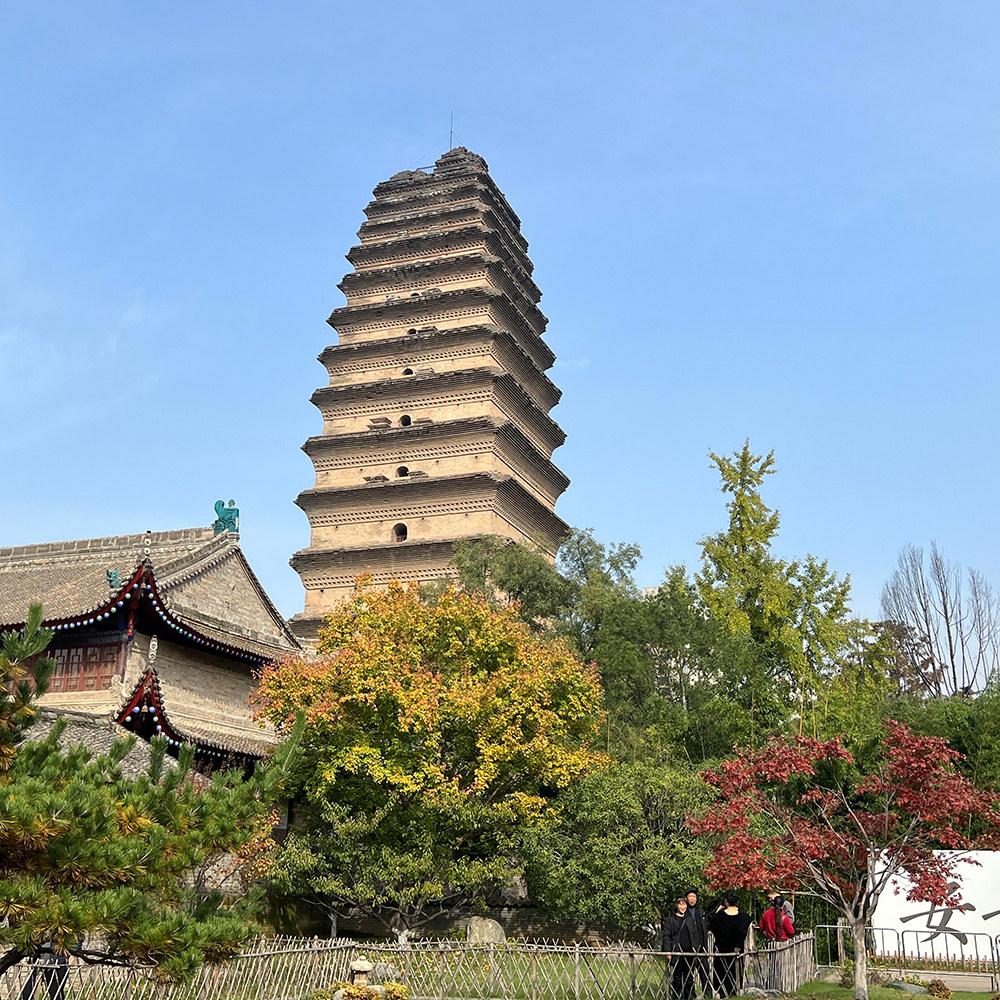 西安博物院+小雁塔【含门票双景区2.5小时讲解/私家独立团】