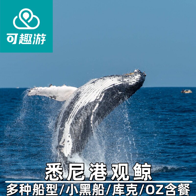 官网直连价优】澳洲旅游悉尼观鲸快艇出海游小黑船小灰船环形码头