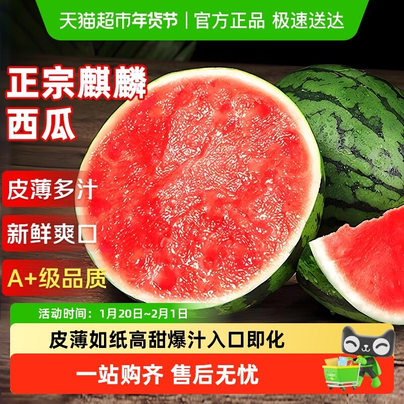 云南麒麟西瓜当季新鲜水果现摘薄皮大西瓜沙瓤有籽甜西瓜正宗,水产肉类/新鲜蔬果/熟食,西瓜,淘宝优惠券,粉丝福利购,淘宝优惠卷