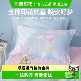 博洋全棉枕套一对装 家用纯棉枕头套加厚100枕芯套男48cmx74cm夏季