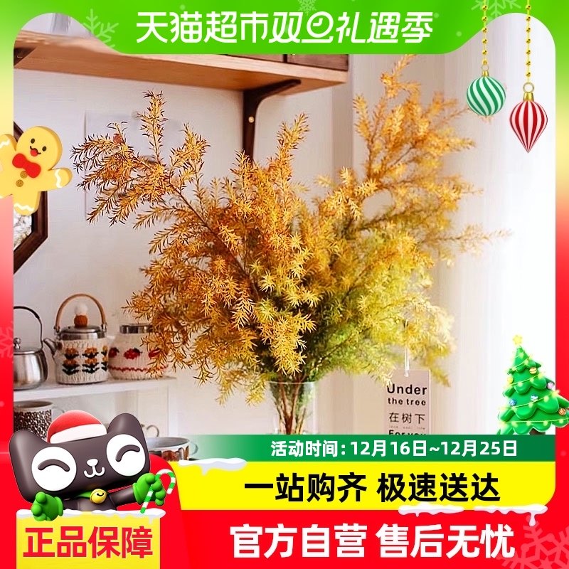 ǧ����ʻ�����֦ˮ��ֲ��ƽ�����ˮ��������ֲ���ڸɻ������廨